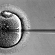 Image: ICSI